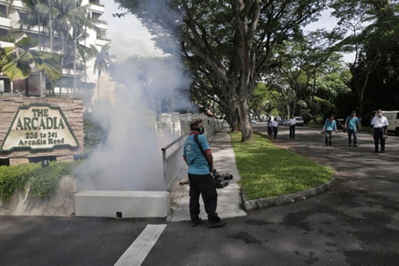 Virus Zika có khả năng bùng phát ở châu Á