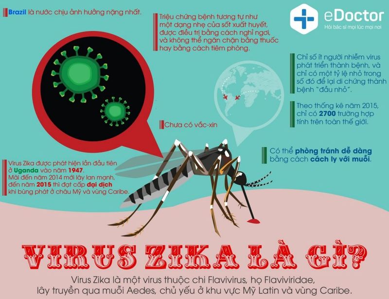 Tóm tắt về Virus Zika
