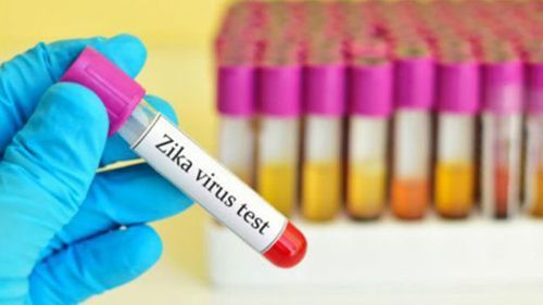 TP HCM công bố dịch Zika