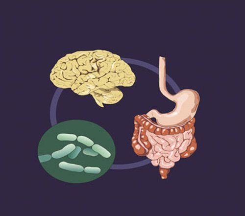 Vai trò của lợi khuẩn trong điều trị viêm đại tràng