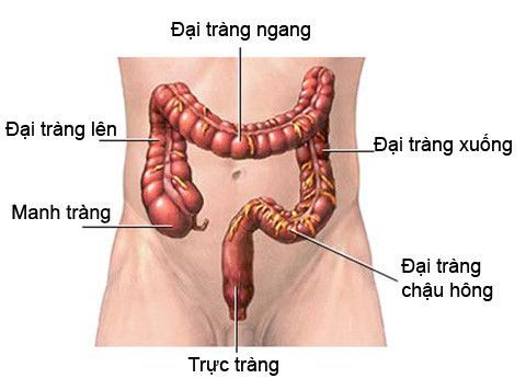 Dấu hiệu sớm phát hiện ung thư đại trực tràng