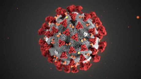 Nhật Bản tìm ra chuỗi gen virus nCoV