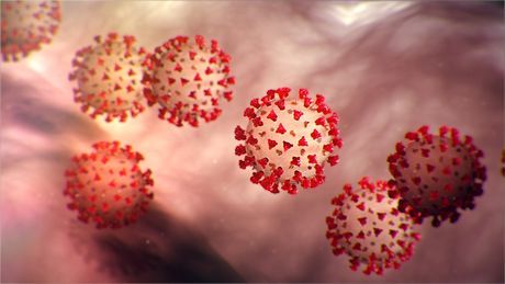 Trung Quốc đặt tên cho dịch viêm phổi virus corona