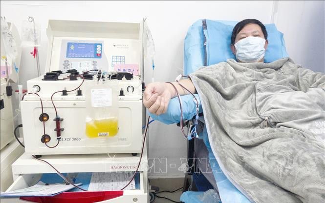 Việt Nam nghiên cứu dùng huyết tương để điều trị bệnh nhân COVID-19 nặng