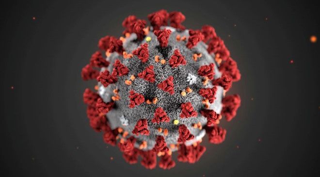 nCoV  tấn công hệ miễn dịch như HIV