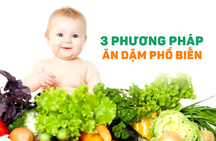 3 phương pháp ăn dặm phổ biến cho mẹ tham khảo