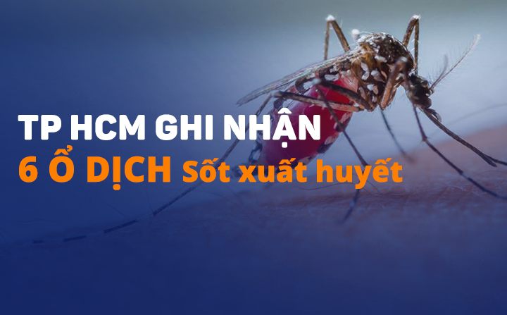 TP.HCM ghi nhận 6 ổ dịch sốt xuất huyết bùng phát