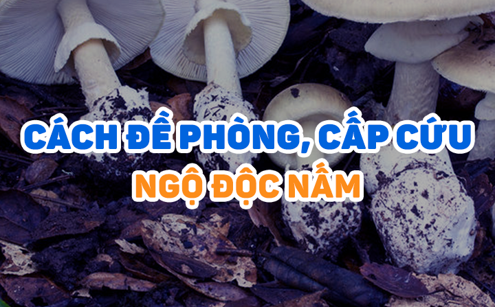 Ngộ độc nấm: cách đề phòng và cấp cứu tại chỗ