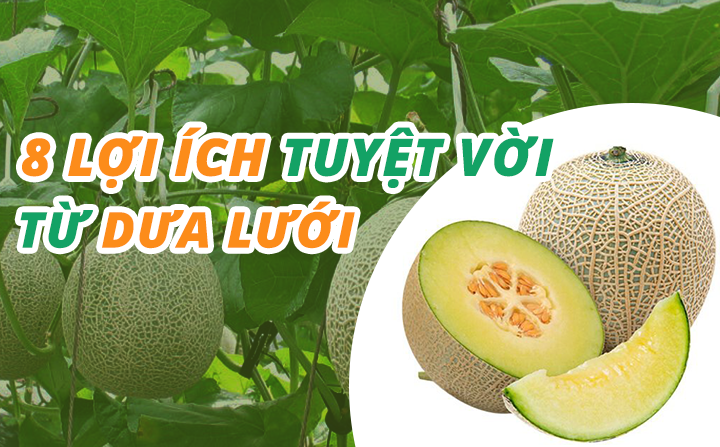 8 lợi ích tuyệt vời của dưa lưới