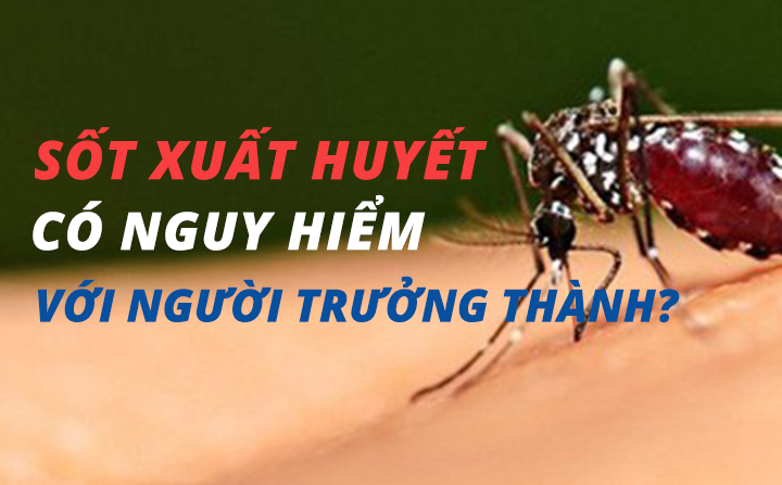 Sốt xuất huyết ở người lớn có nguy hiểm không?