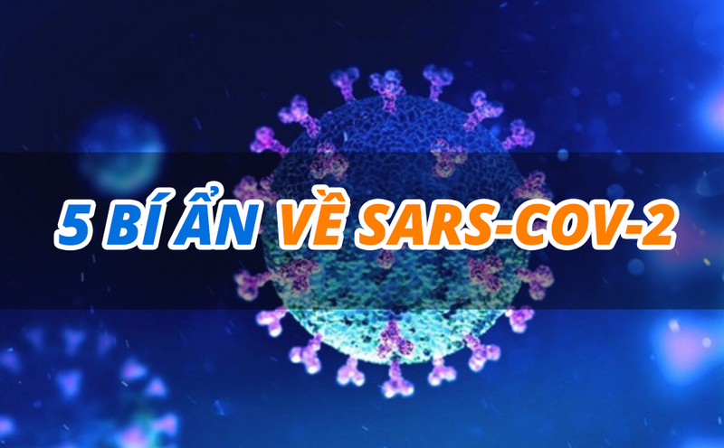 5 bí ẩn về SARS-CoV-2