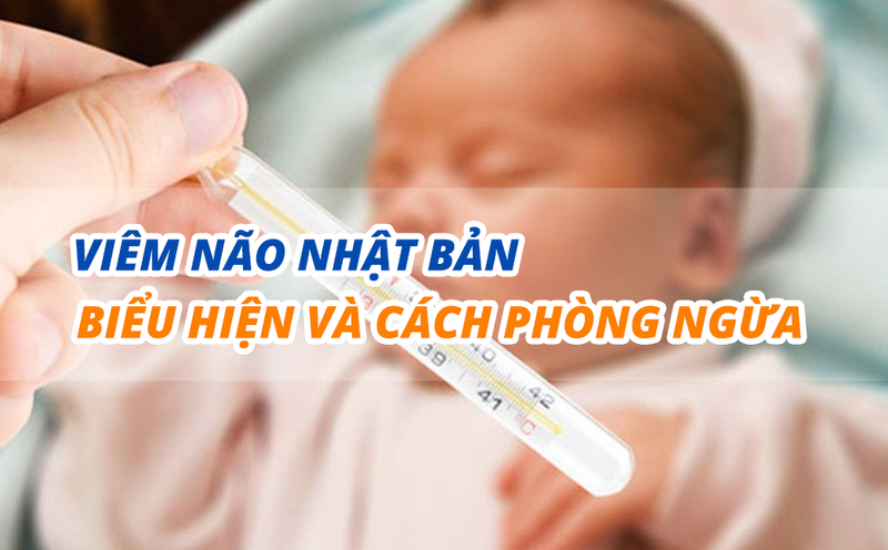 Viêm não Nhật Bản: Nguyên nhân và cách phòng tránh