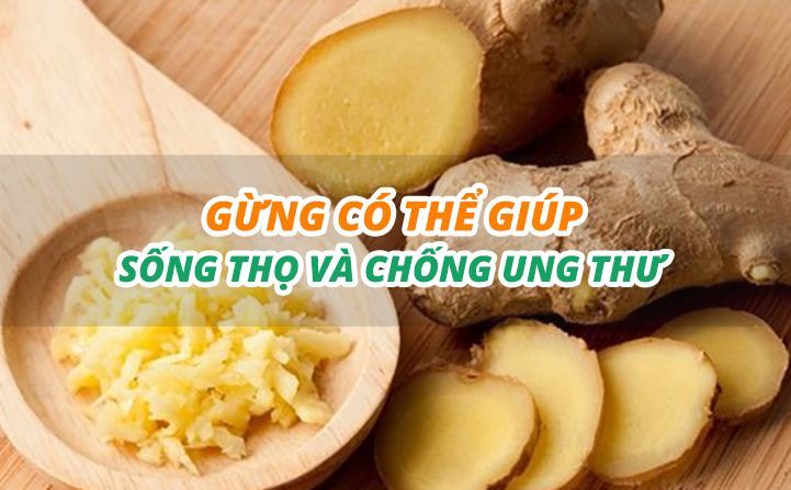 Gừng giúp sống thọ và chống ung thư