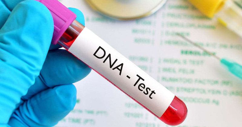 Xét nghiệm DNA tiết lộ điều gì về sức khỏe của bạn