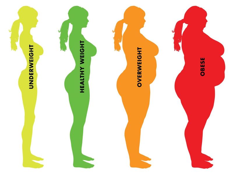 DNA và mối liên quan đến chỉ số cơ thể và béo phì