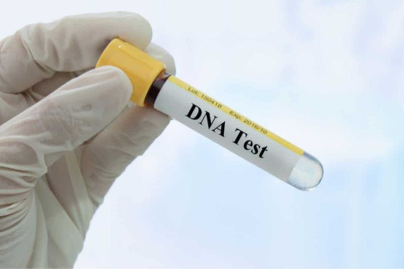 Xét nghiệm DNA tầm soát các loại ung thư cơ bản
