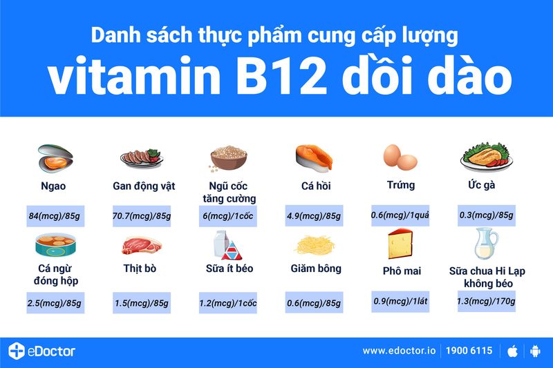 Bổ sung vitamin B12 từ những nguồn nào?