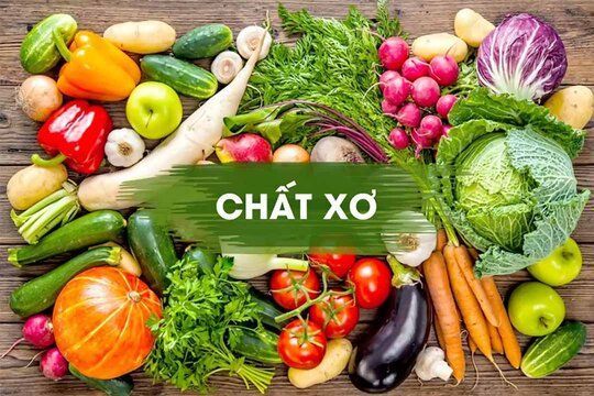 Vai trò dinh dưỡng của chất xơ đối với cơ thể