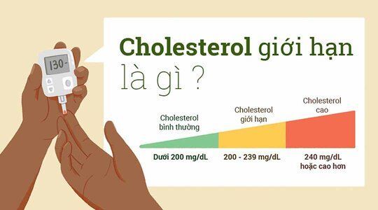 Kiểm tra lượng cholesterol - xây dựng chế độ ăn uống an toàn ngày Tết