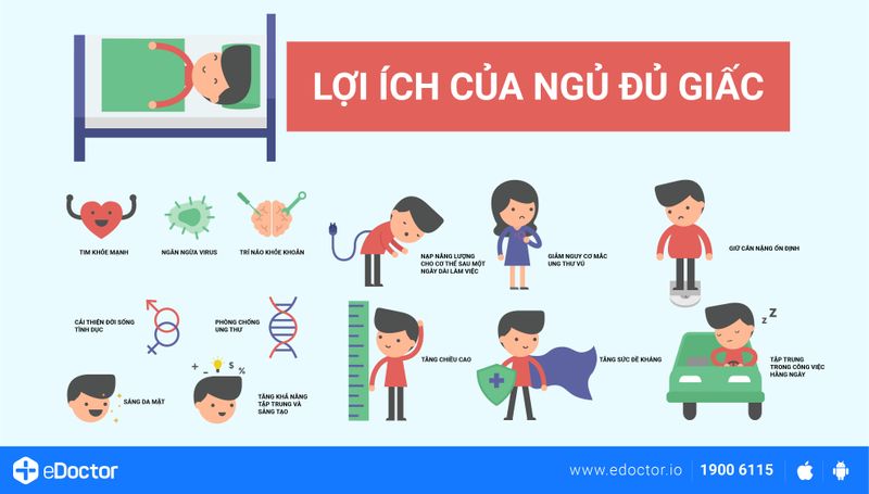 Ngủ 8 tiếng một ngày, liệu có được xem là ngủ đủ giấc?