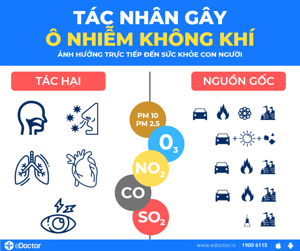 Môi trường sống của chúng ta đang bị đe dọa như thế nào?