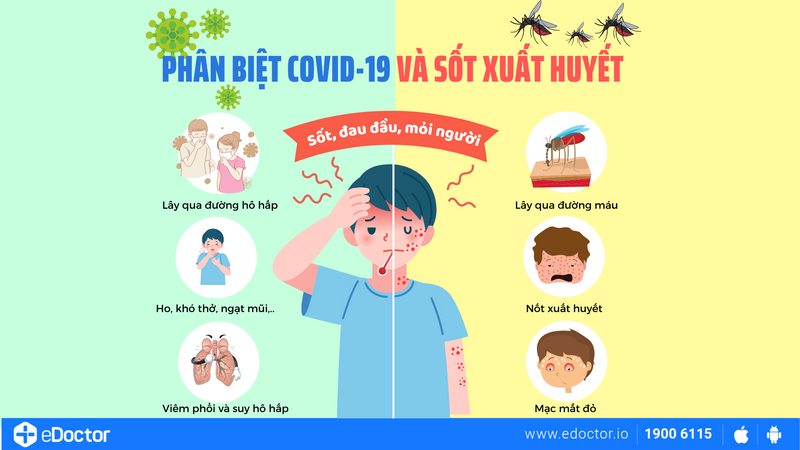 Mách bạn cách phân biệt sốt xuất huyết với sốt do COVID-19