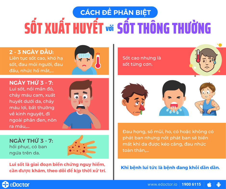 Mách bạn cách phân biệt sốt xuất huyết với sốt do COVID-19