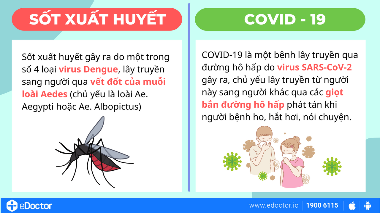 Mách bạn cách phân biệt sốt xuất huyết với sốt do COVID-19