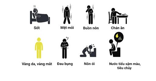 Viêm gan b lây qua đường nào ? có chữa được không ?