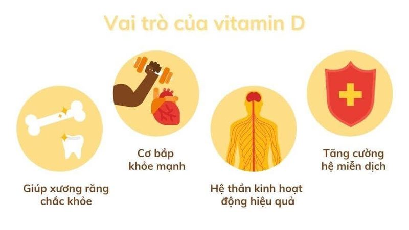 Bất ngờ trước khả năng củng cố hệ miễn dịch của vitamin D