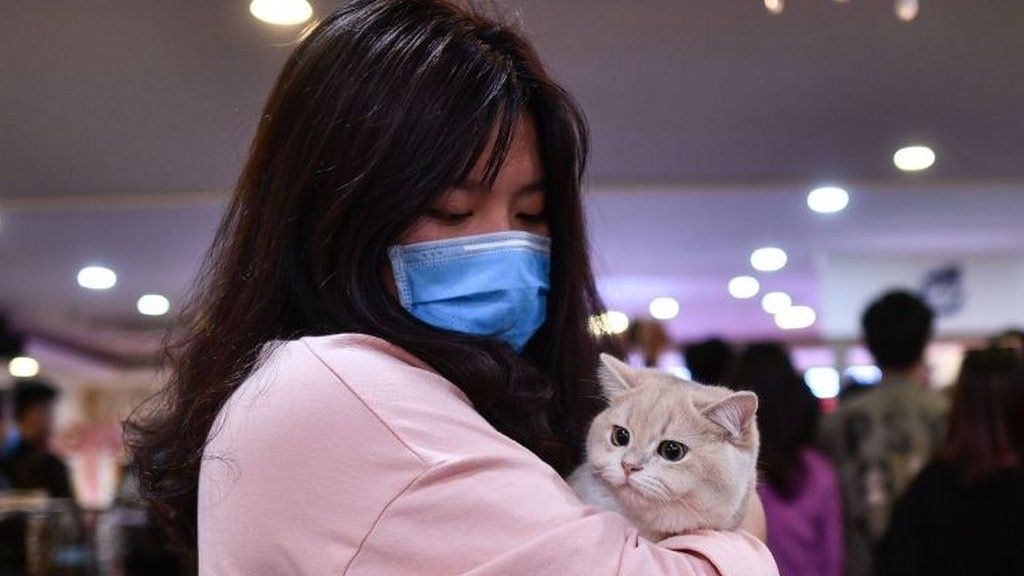 Bí quyết giúp người bệnh tai mũi họng sống khỏe trong mùa dịch Covid-19