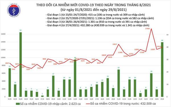 Tối ngày 29/8, Bộ Y tế ghi nhận 12.663 ca nhiễm mới, trong đó có 5.712 ca trong cộng đồng