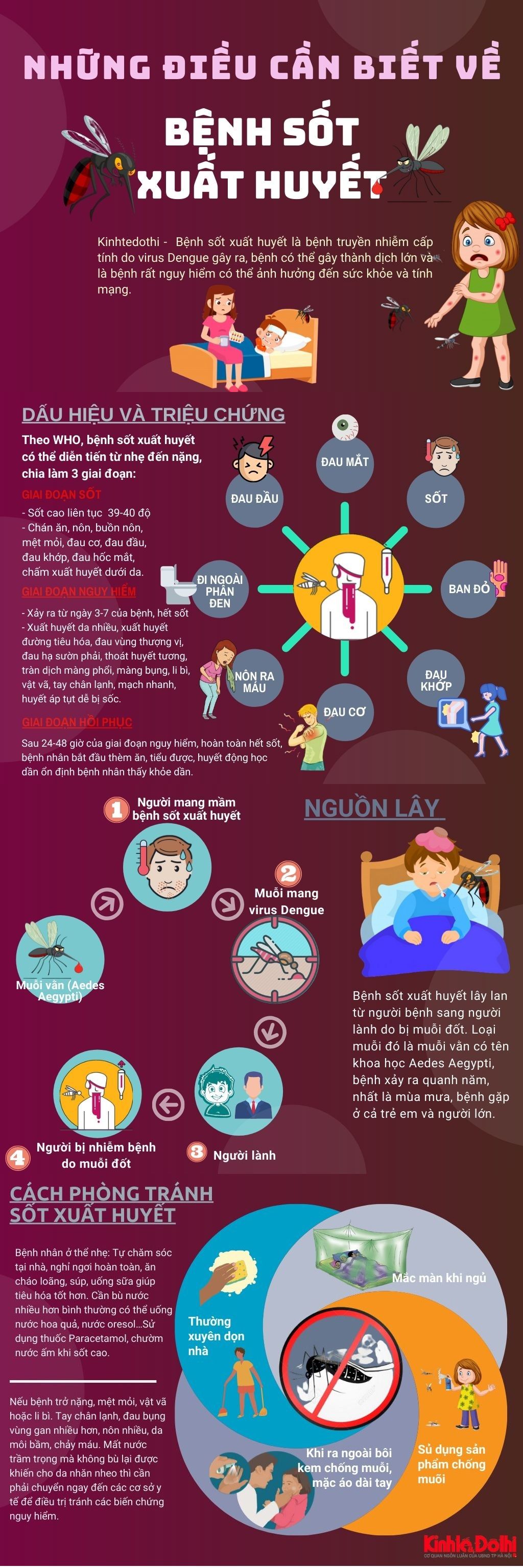 Cẩn trọng dịch 'kép': sốt xuất huyết và COVID-19