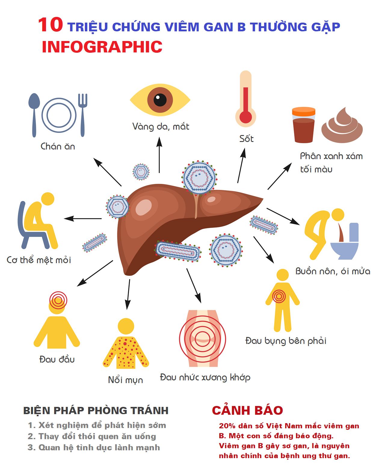 5 triệu chứng sớm của viêm gan và gợi ý hỗ trợ gan phục hồi