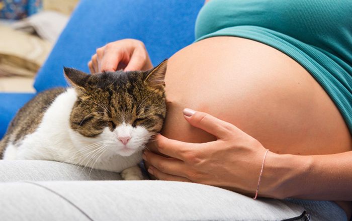 5 bệnh nhiễm trùng thai kỳ có thể gây dị tật bẩm sinh cho trẻ