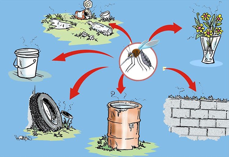 Sốt xuất huyết có tự khỏi không? Bệnh nhân có được tắm không? 