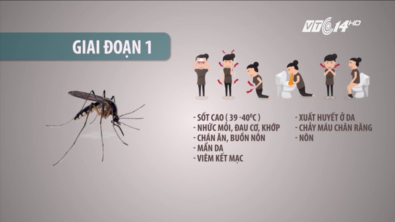 Sốt xuất huyết có tự khỏi không? Bệnh nhân có được tắm không? 