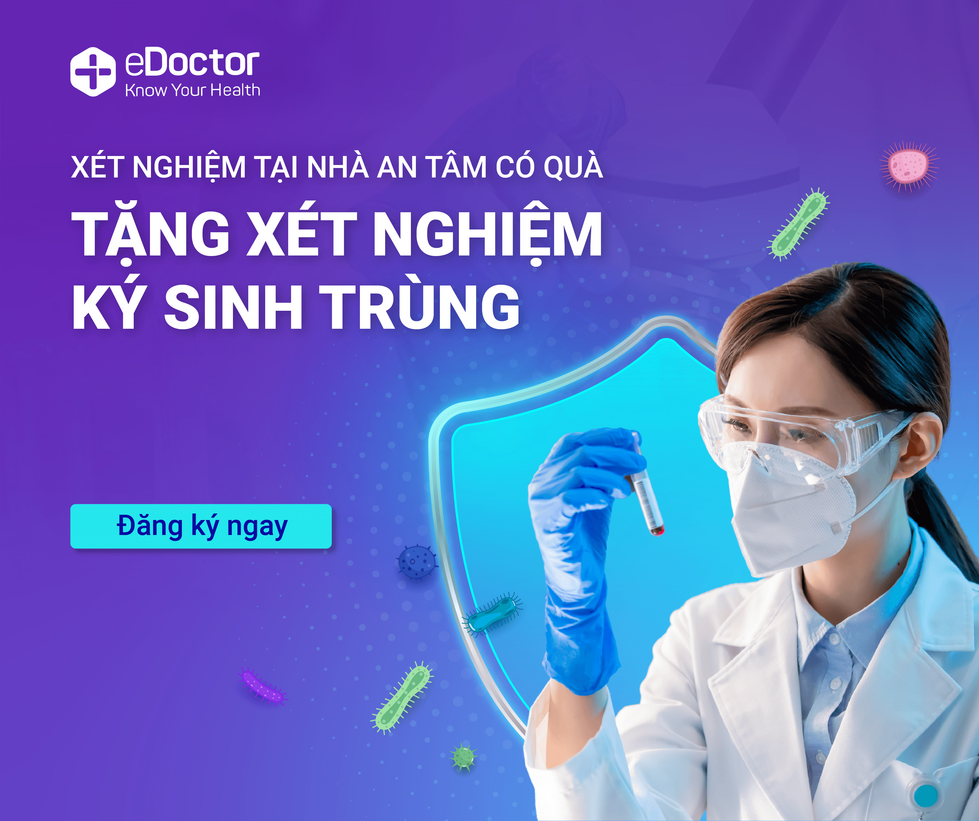 Ngứa hoài, coi chừng nhiễm sán chó