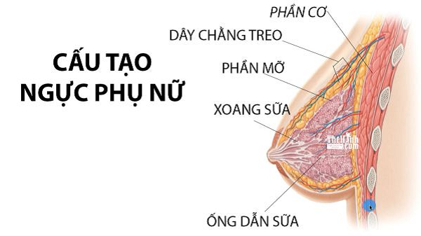 Cải thiện vòng 1 sau sinh: 8 bí quyết giúp các mẹ nhanh lấy lại dáng 