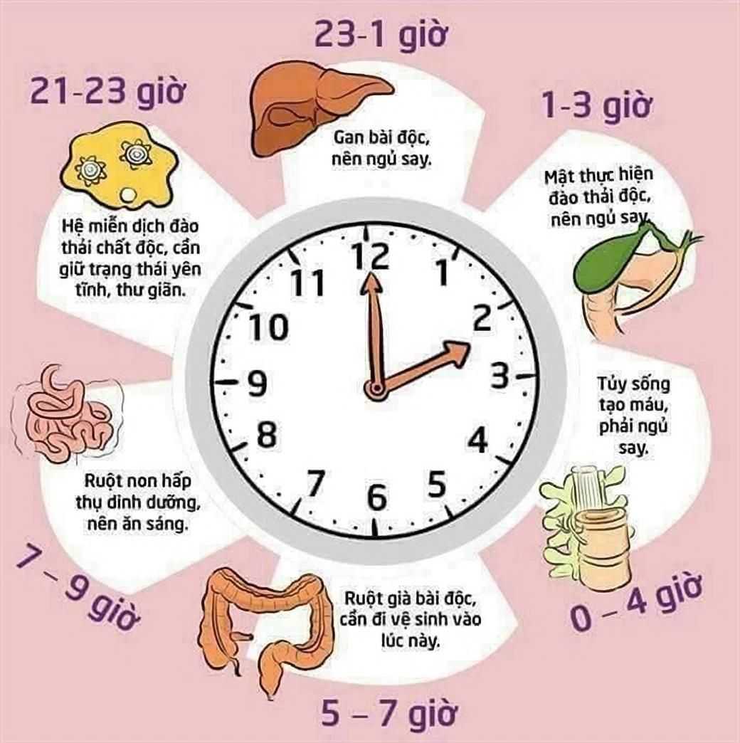 Thời gian ngủ để hồi phục cơ thể