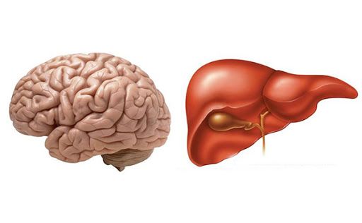 10 dấu hiệu 'tố cáo' gan có thể đang bị nhiễm độc, cần đi khám ngay!