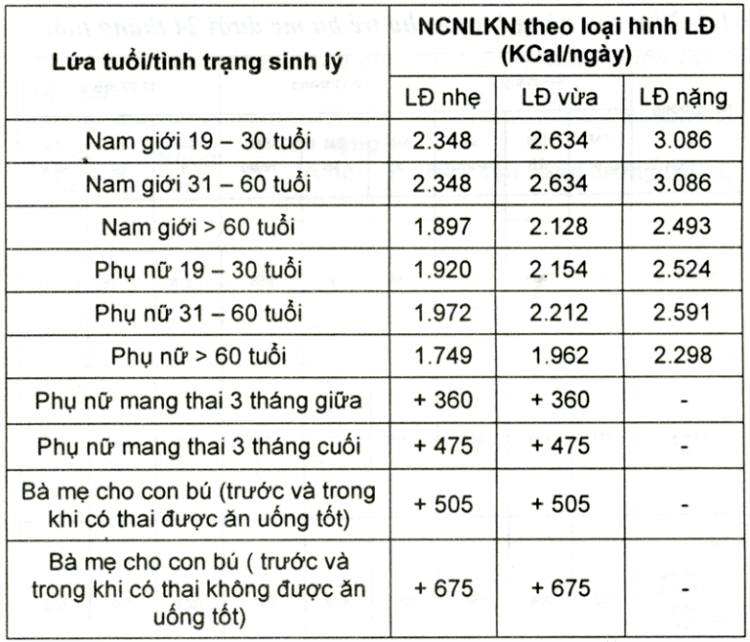 Tính calo trong thức ăn: Điều cơ bản nhất để giảm cân thành công
