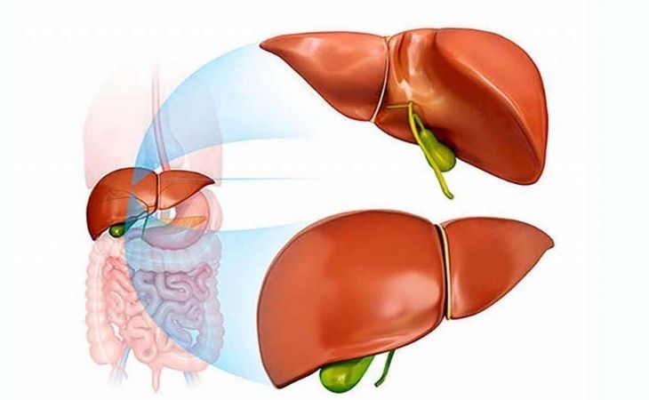 Xuất hiện những triệu chứng này, cần sàng lọc bệnh gan mật sớm