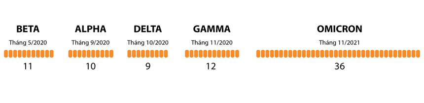 Đột biến của Omicron nguy hiểm như thế nào so với các biến chủng khác