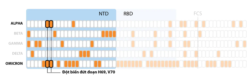 Đột biến của Omicron nguy hiểm như thế nào so với các biến chủng khác
