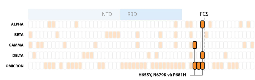 Đột biến của Omicron nguy hiểm như thế nào so với các biến chủng khác