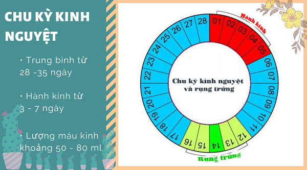 Tại sao phải theo dõi chu kỳ kinh nguyệt?