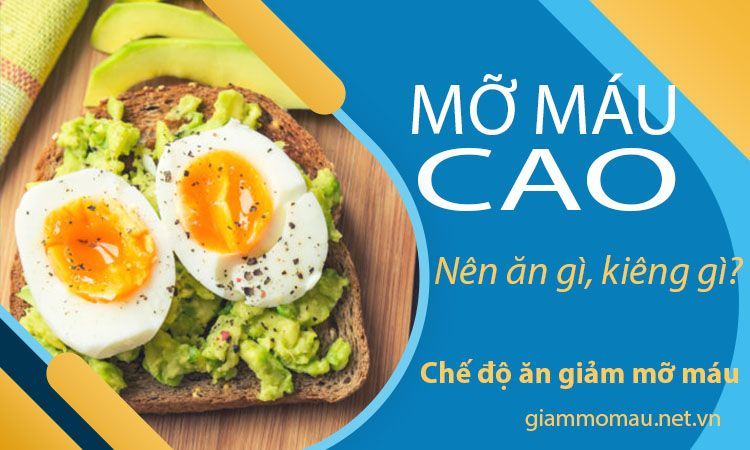 Mỡ máu cao gây tai biến: 4 cách giảm mỡ máu để ngừa rủi ro 
