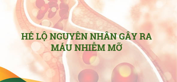 Mỡ máu cao gây nguy hiểm như thế nào cho sức khỏe? 6 tác hại cần cảnh giác