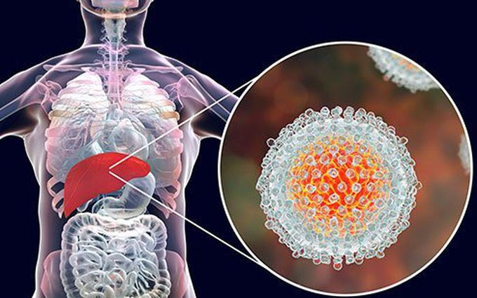 7 biện pháp phòng tránh men gan cao, đặc biệt là biện pháp số 7 lưu lại ngay